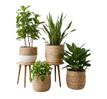 jute planters and pot covers