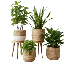 jute planters and pot covers